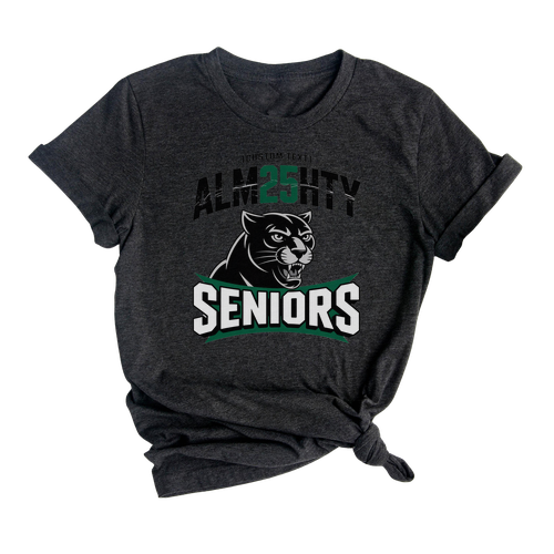 Almighty Panther Seniors 2025 T-shirt – School Spirit Mascot Edition