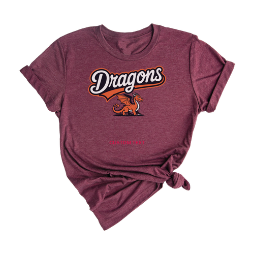 Custom Retro Dragons Mascot Vintage Team T-shirt